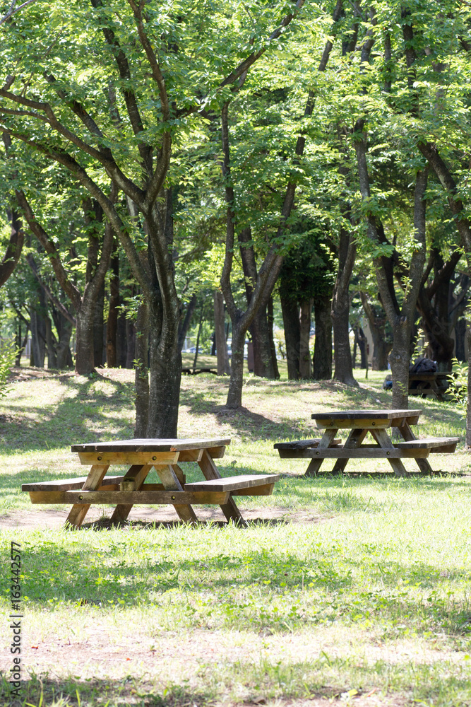 Empty picnic table in a tranquil park Empty picnic table in a tranquil park