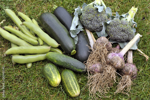 Vegetables