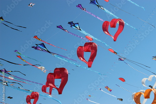 FESTIVAL CERVIA AQUILONI