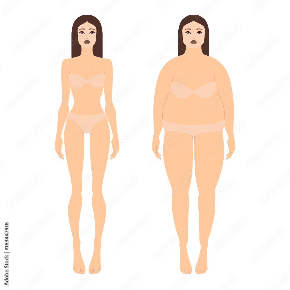 Vector illustration of two women with different figures in underwear. Female full body shape in flat style, front view. Set of bodies before and after weight loss Vector illustration of two women with different figures in underwear. Female full body shape in flat style, front view. Set of bodies before and after weight loss