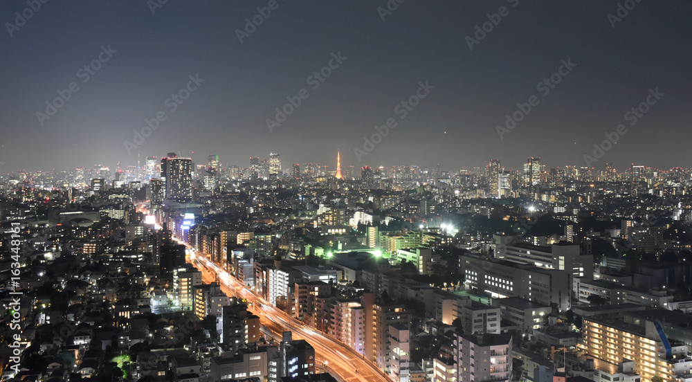 Obraz premium 日本の東京都市景観・夜景（渋谷区や千代田区、港区方面などを望む）
