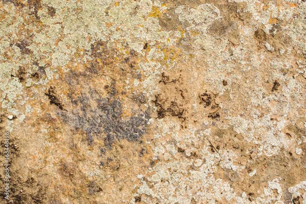 Old texture stone in lichens background natural. Old texture stone in lichens background natural.