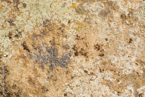 Old texture stone in lichens background natural. © prokop.photo