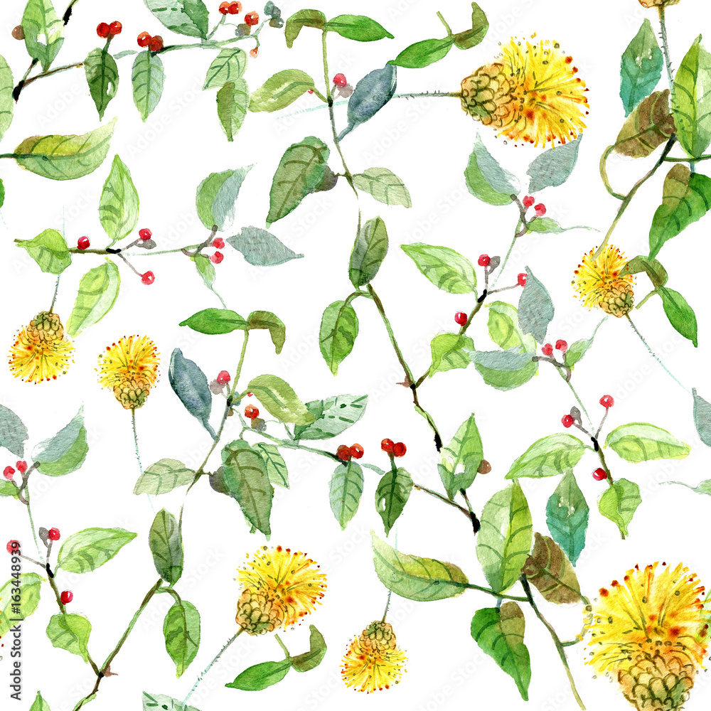Field flowers, seamless pattern, watercolor