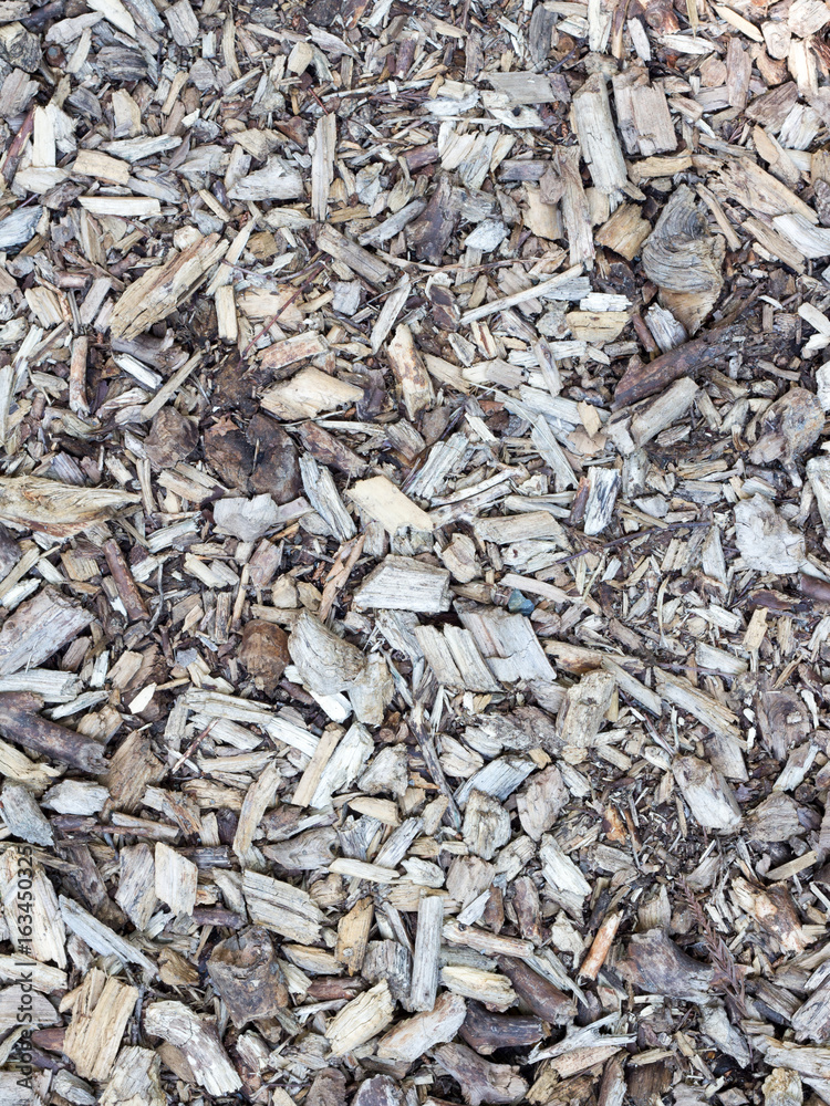 Pile of wooden chips Pile of wooden chips