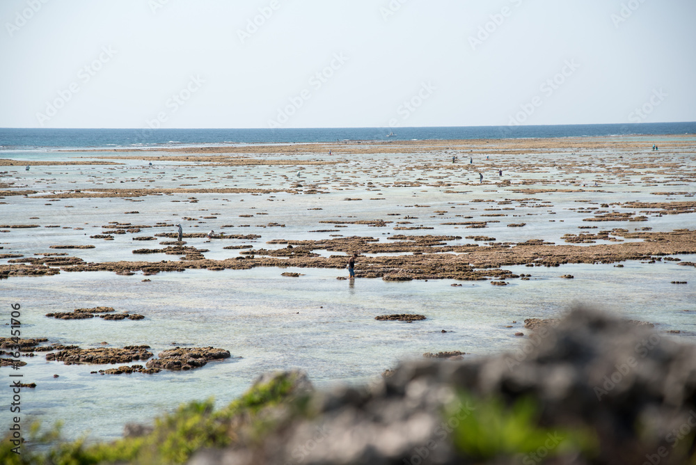 干潮の海 干潮の海