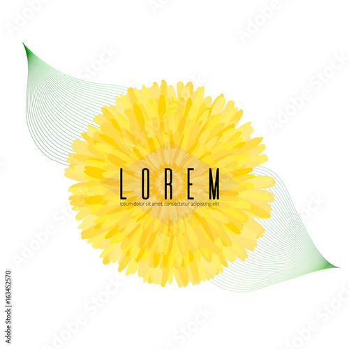 Yellow dandelion geometric