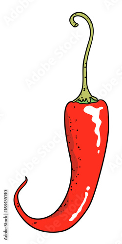 Cartoon image of chilli pepper. An artistic freehand picture.