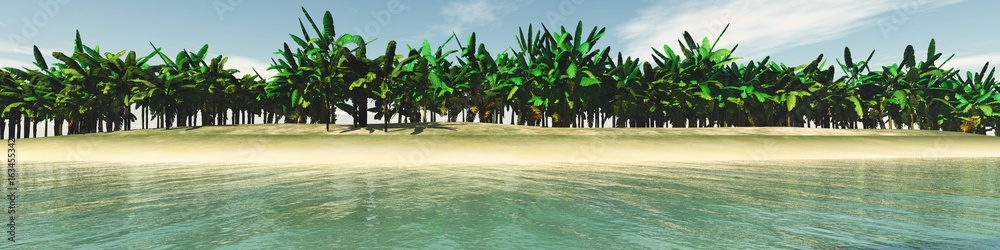Obraz premium Beach with palm trees, panorama of a tropical beach with palm trees