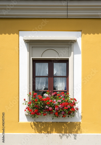 Window with red flowers close-up © cherezoff