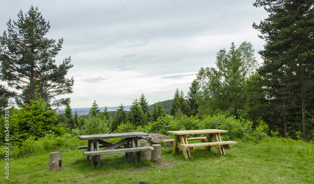Two picnic tables in nature