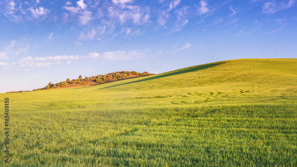 Landscape in the morning