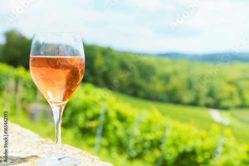 Wine Glass With Vineyard