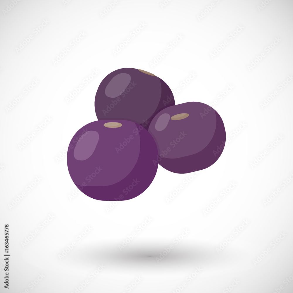 Acai berries vector flat icon Acai berries vector flat icon