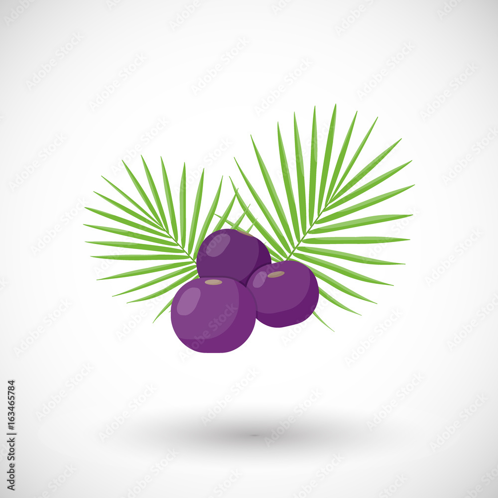 Acai berries vector flat icon