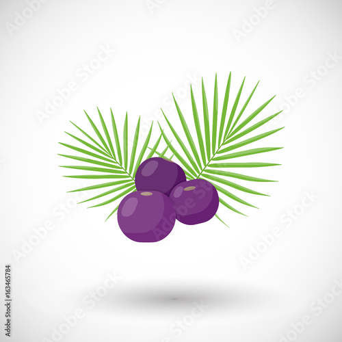 Obraz na płótnie Acai berries vector flat icon w salonie