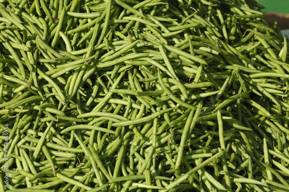Frische Buschbohnen auf einem Marktstand Frische Buschbohnen auf einem Marktstand