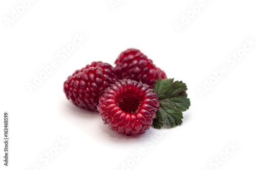 Ripe wild raspberry isolated on a white background