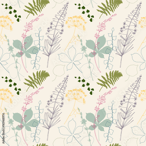 Vector floral seamless pattern  with  fireweed, chicory, dill flowers and fer...