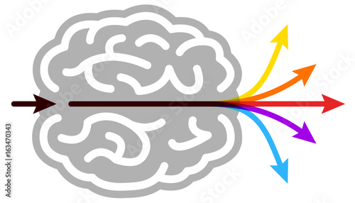 Labyrinthe cerveau 5