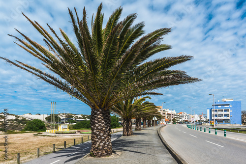 Road from Gafanha da Nazaré to Costa Nova. Aveiro.  Portugal photo