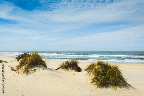 Sand dunes at Costa Nova beach. Aveiro. Portugal