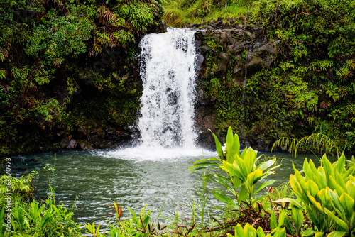 Maui Waterfall