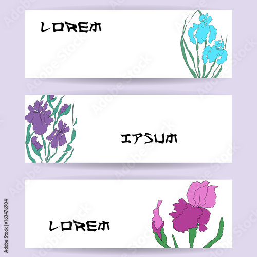 Illustration with hand-drawing illustration, vectorized irises. Stylized traditional Chinese painting, Japanese art sumi-e, vector