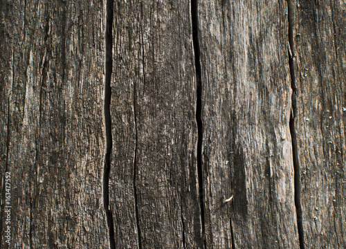 Wallpaper Mural Wood texture. Surface of wood plank background. Wood background  Torontodigital.ca