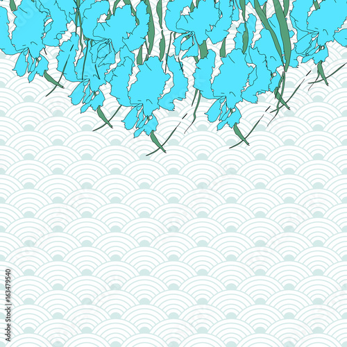 Vector iris. Hand-drawing illustration.
