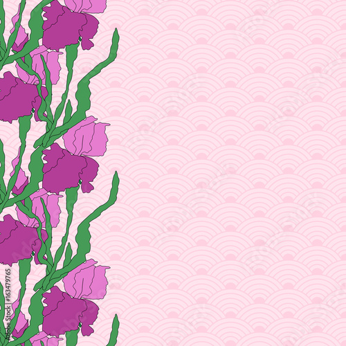 Vector iris. Hand-drawing illustration.