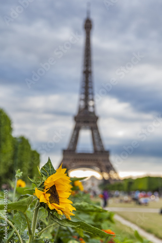The Eiffel Tower in Paris, ...