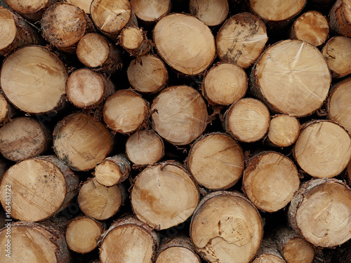 Round wood logs close-up texture background with different pine trees size diameters stored in large pile.