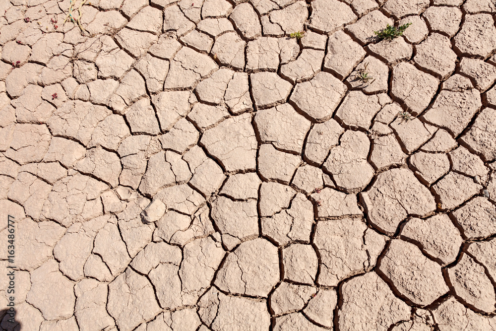 cracked earth cracked earth