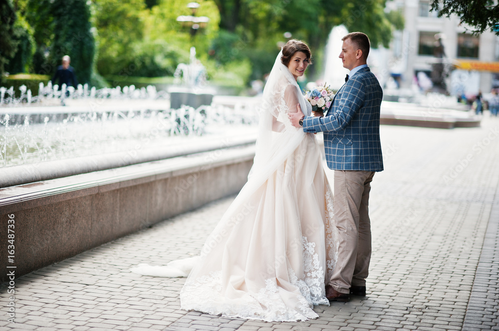 Attractive young wedding couple walking and posing in the park on a sunny day. Attractive young wedding couple walking and posing in the park on a sunny day.