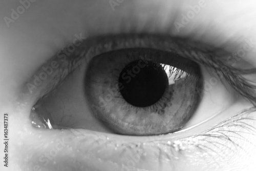 Human eye close-up in black and white. Extended pupil photo