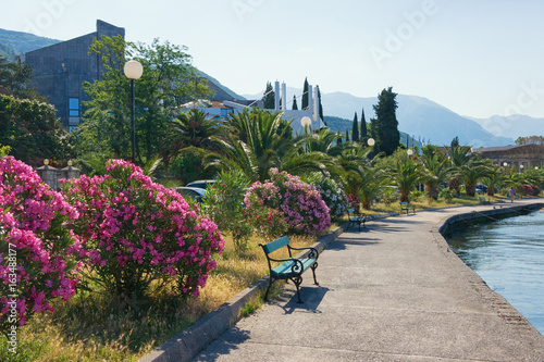 Mediterranean village (Seljanovo, Bay of Kotor, Tivat, Montenegro) photo