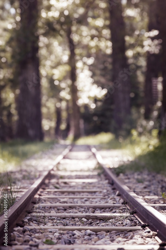 Railway Tracks in a Park