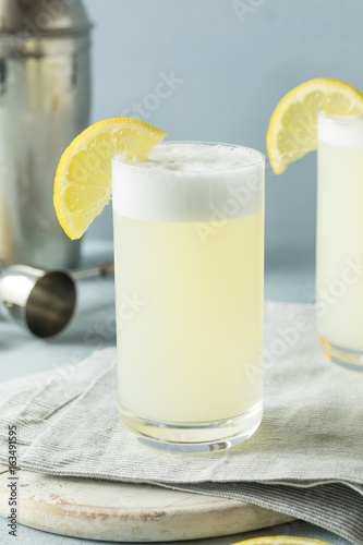 Slika na platnu Refreshing Cold Egg Gin Fizz