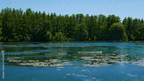 Lake and resort in Heviz - it is the largest natural geothermal lake in Europe. Very popular among the nymphs, the Europeans and among the patients of sanatoria - the patients.