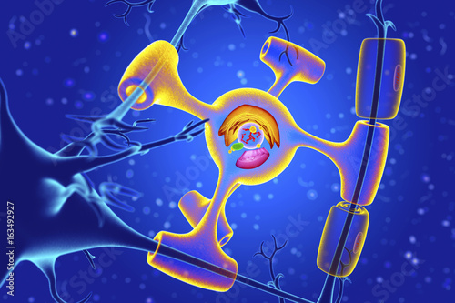 Nervous system cells, illustration photo
