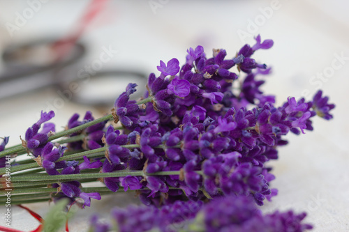 bunch of lavender on a white table with scissors on the side 