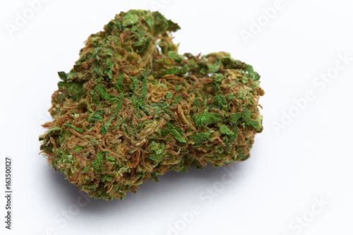 Close up of J1 medical marijuana bud isolated on white background