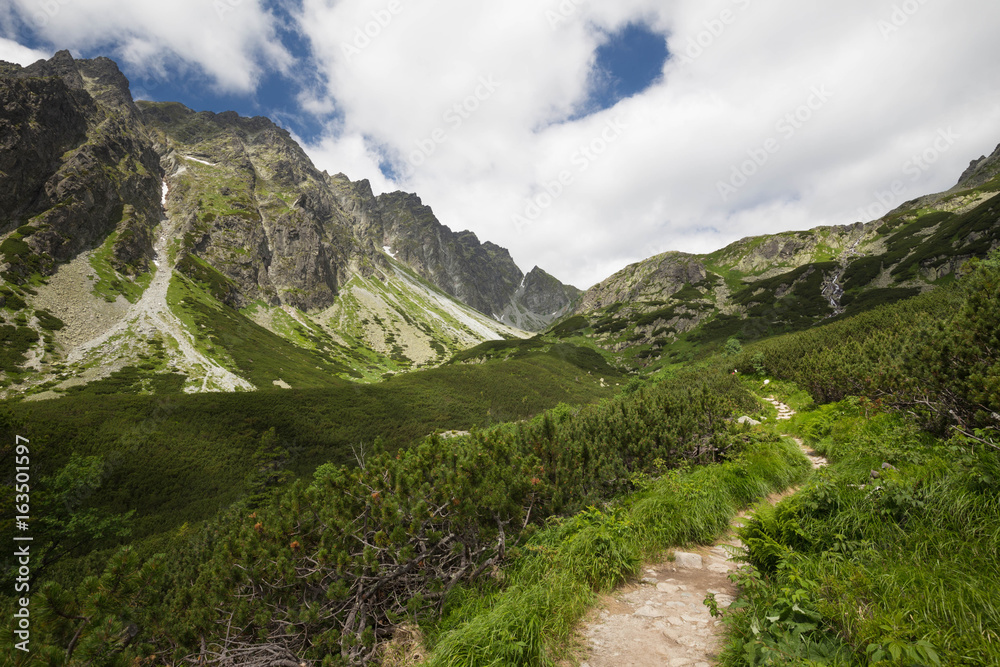 Mountain trail - landscape