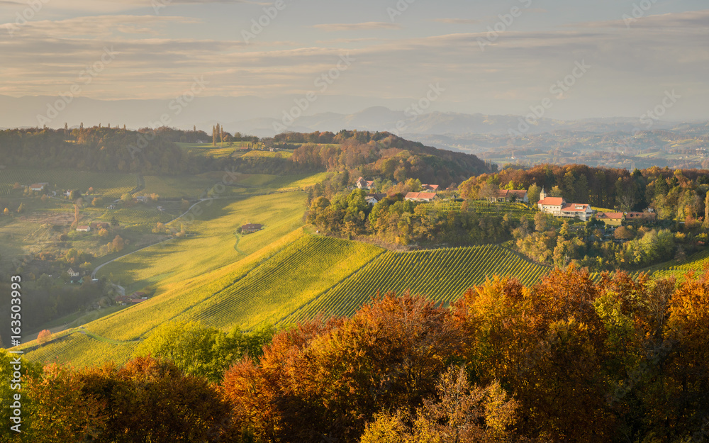 Styrian Tuscany Vineyard at summer sunset, Austria