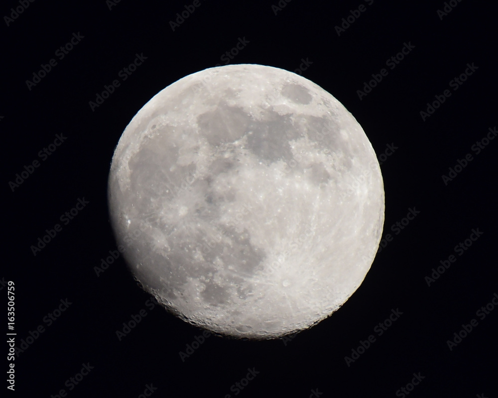 Obraz premium July Moon