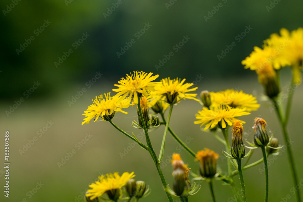Natur, Ausflug, Entdecken, Wandern, Erleben. Berge, Outdoor Natur, Ausflug, Entdecken, Wandern, Erleben. Berge, Outdoor