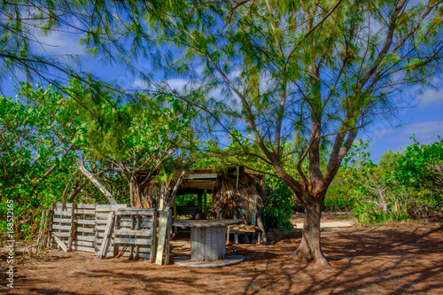 Abandoned derelict shack by the coast in the West Bay district, Grand Cayman, Cayman Islands © Eric Laudonien