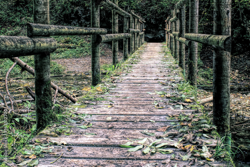 Bridge on a Black Forest hiking trail through the Wutachschlucht, Germany