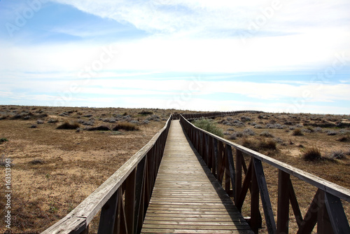 Wooden walkway over the sand dunes to the beach. Beach pathway in Huelva Beach  inside a natural area in Andalusia  Spain